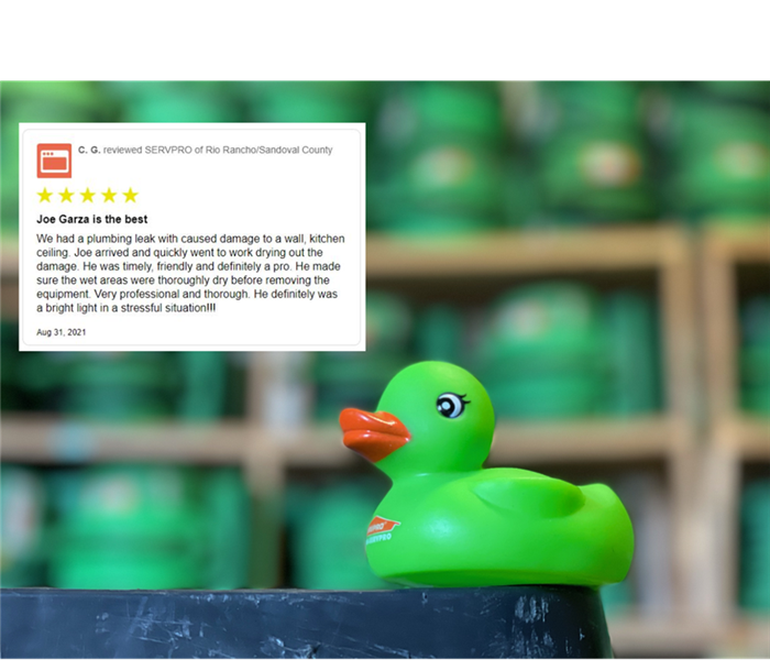 Green rubber duck - screenshot of recent google review