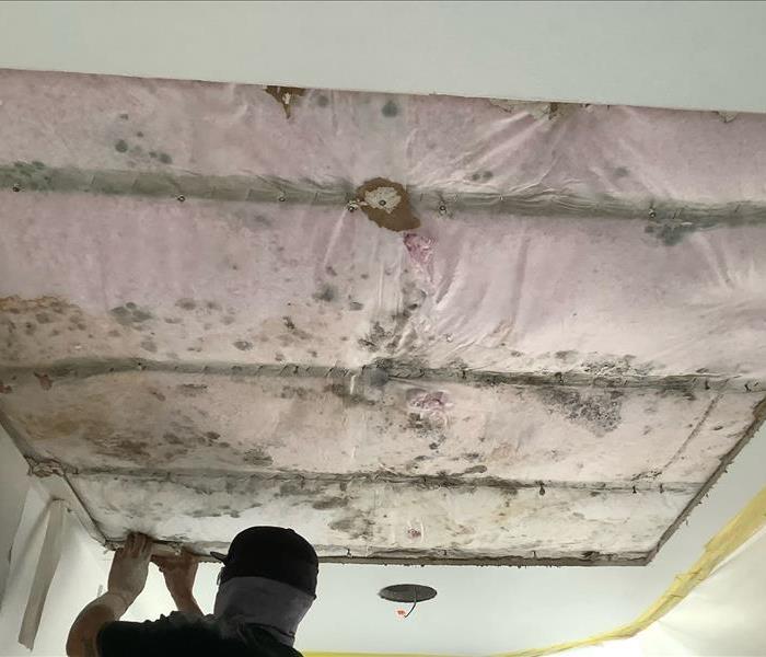 Tech removing drywall from wet ceiling 