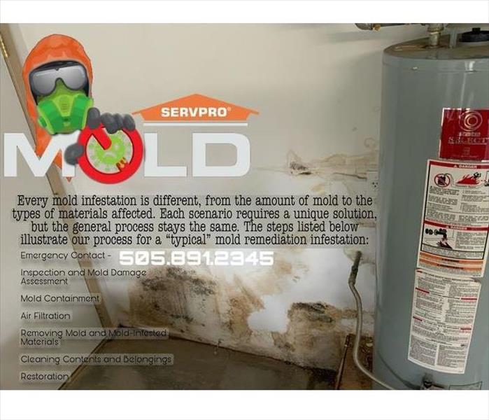 Visible mold near a water heater