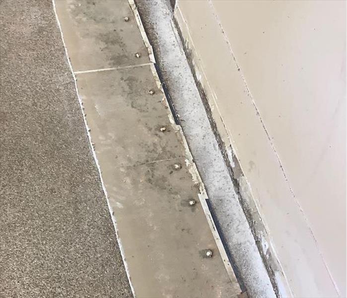 Mold found on drywall after water damage